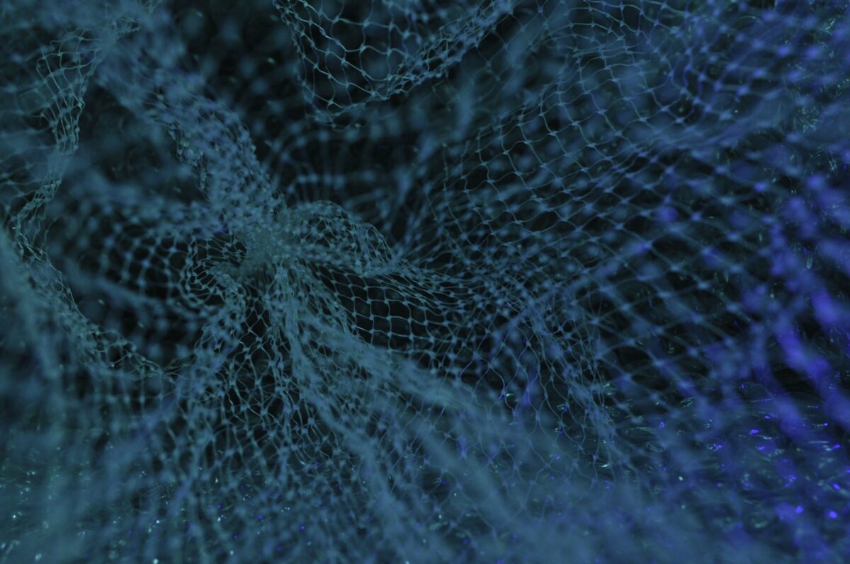 Blockchain social media